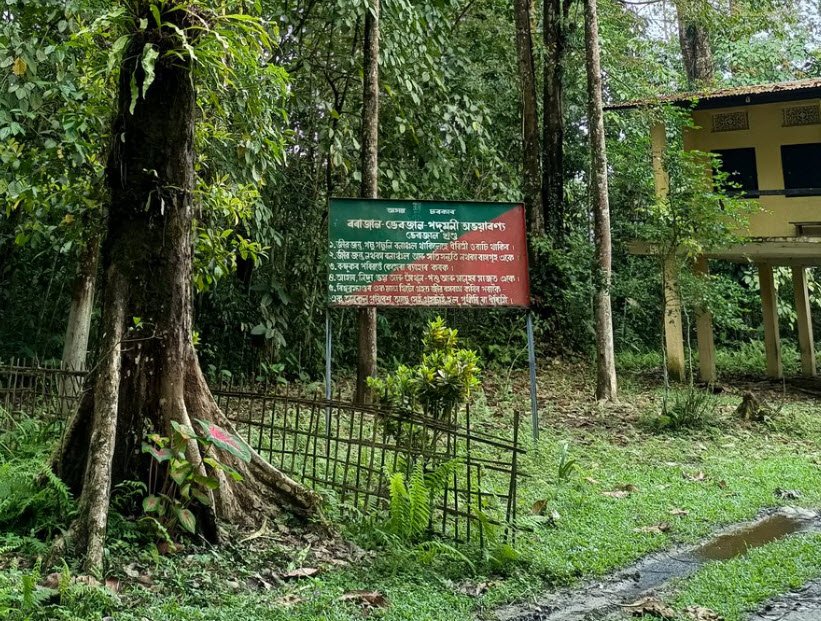 Bherjan-Borajan-Padumoni Wildlife Sanctuary